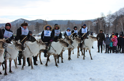 В Туве 25 февраля пройдёт традиционный фестиваль оленеводов