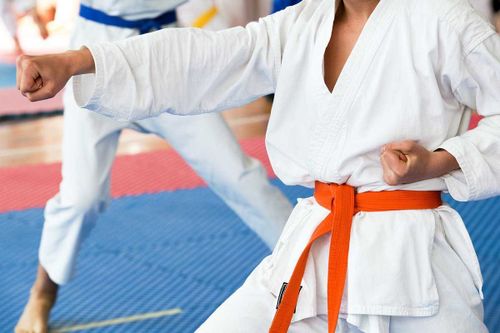 Спортсменов Тувы приглашают принять участие в турнире по каратэ к 85-летию Геннадия Зайцева