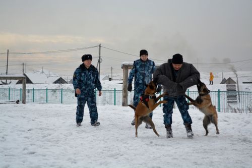 Сотрудники кинологической службы продемонстрировали школьникам служебные навыки собак