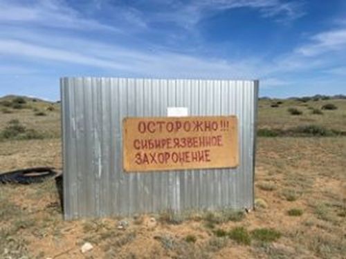 В Туве при совместной проверке Россельхознадзора и прокуратуры выявлены нарушения при содержании скотомогильников