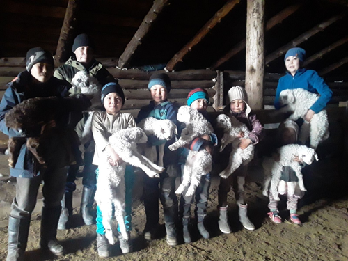 Сакманчылар, сургуулдар мал ажылында чай чок