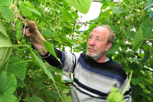 Александр Желтухин: «Послание главы Тувы нацелено на реальные дела»