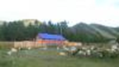 И вай-фай на все село