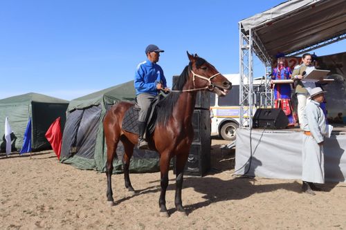 В Туве провели 32 конные скачки на призы Тандинского и Чеди-Хольского районов