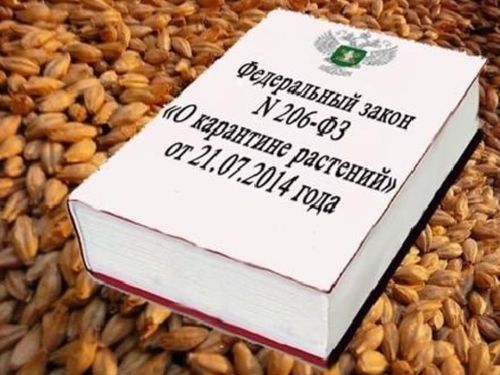 С 1 марта 2025 года вступают в силу новые требования при получении карантинного сертификата