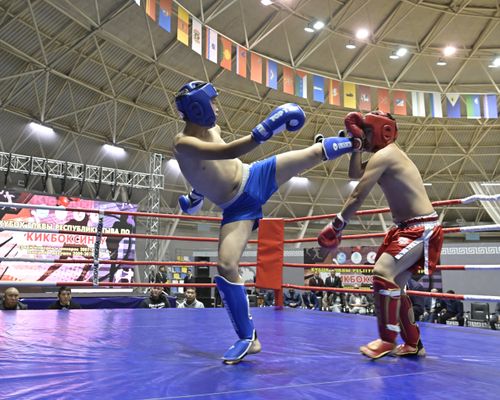 Участников Кубка Главы Тувы по кикбоксингу приветствовал президент Федерации кикбоксинга России, Глава Калмыкии Бату Хасиков