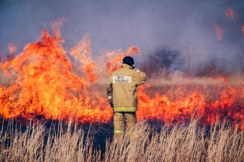 Районам рекомендовано ввести противопожарный режим