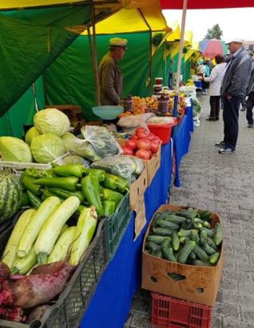 В центре Кызыла проходит сельхозярмарка "Золотая осень-2022"