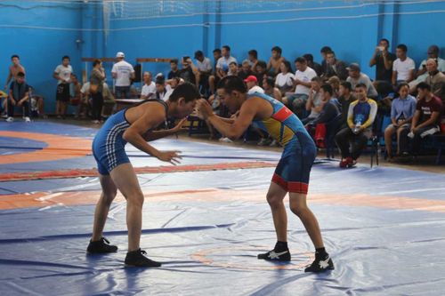 В Туве прошло первенство республики по вольной борьбе среди юношей до 23 лет 