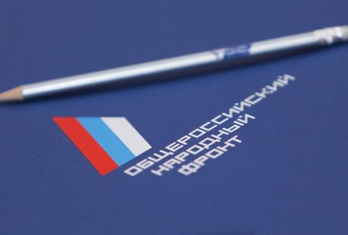 ОНФ продолжит выработку предложений по антикризисным мерам поддержки граждан и бизнеса