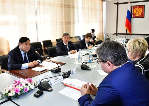 Владислав Ховалыг встретился с сенаторами Совета Федерации