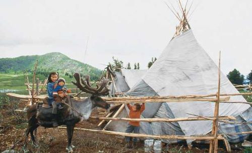 Для тувинцев-тоджинцев Тувы разграничат 11 территорий, где они смогут жить и заниматься оленеводством 