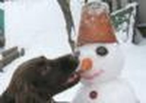 Всеми любимый персонаж