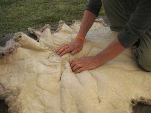 Глава Тувы намерен создать монголо-российское предприятие по производству ангорки и кашемира