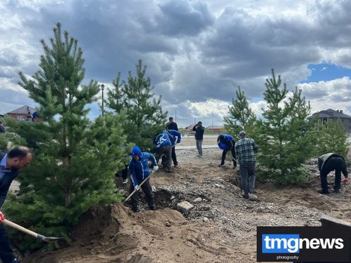 В Кызыле прошла высадка саженцев в рамках международной акции «Сад Победы»