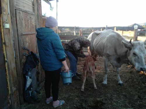 Семья Ондаров: Спасибо за заботливое отношение к семьям, нуждающимся в социальной поддержке и защите!