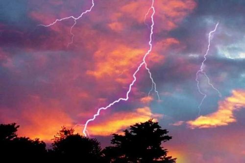 В Туве оленевод выжил после удара молнии