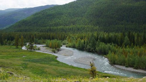 В Туве повышен класс пожарной опасности в лесах 