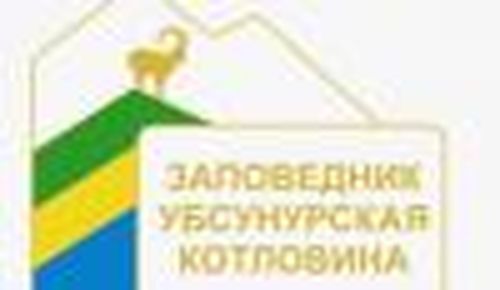 Рисунки на камнях