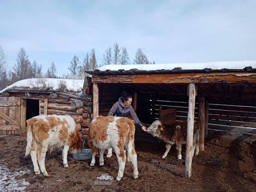 Үлегерлиг өг-бүле