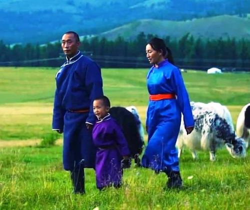 Тываның малчыннары малын онча-менди камгалап алзыннар