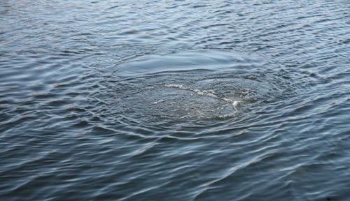 Тело утонувшей 14-летней девочки нашли