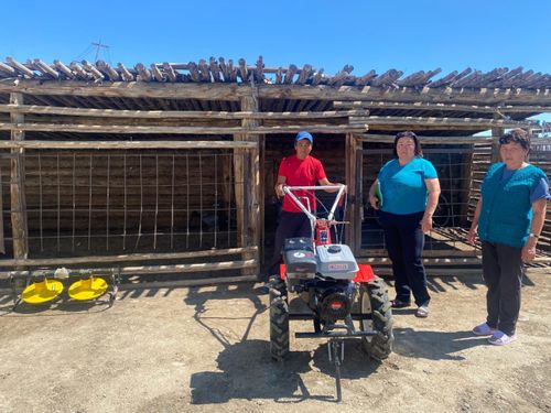 Күрүне деткимчезин 350000 рубль чедир өстүрер