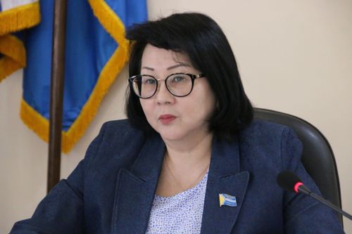 Тувинские "единороссы" обсудили ход подготовки к праймериз