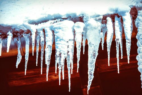 Доң дамдыдан камгаланыры