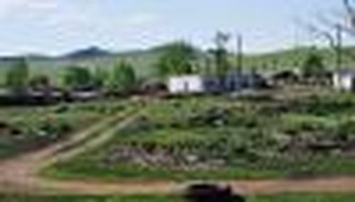 Только ленивому в селе плохо