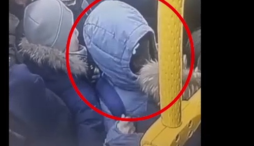 В Кызыле задержали серийного карманника