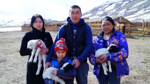 В Кызыле 19 апреля состоится первый Форум молодых животноводов