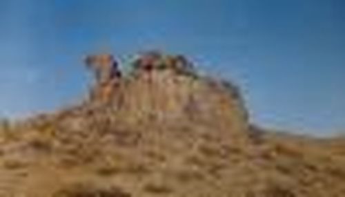 Мать-верблюдица