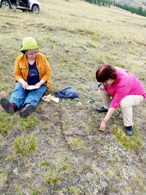 Ученые Тувы приступили к исследованию воздействия отходов горнодобывающей деятельности на экосистему