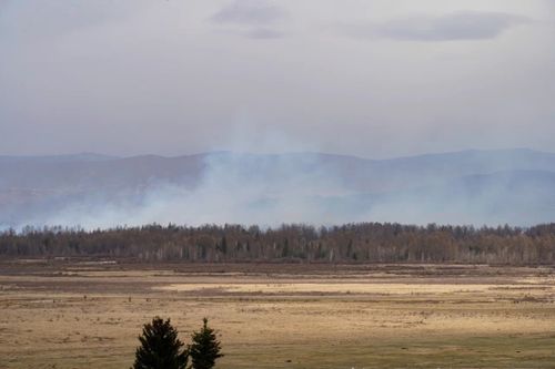 В Туве действует два очага лесных пожаров на общей площади 62,5 га