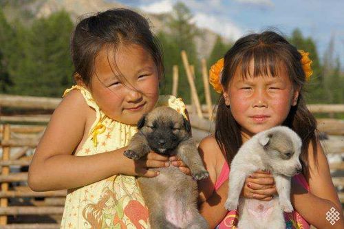 Как скоро люди получат выплаты на детей от 3 до 7 лет?​