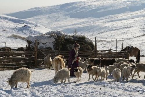 Агаар-бойдуста болчумча чок