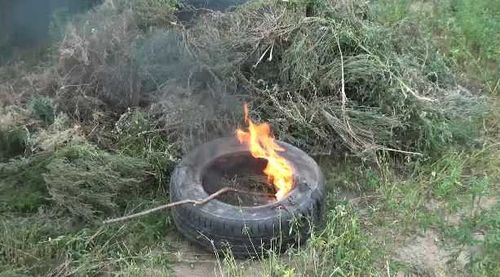 В Туве сжигают коноплю