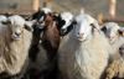 Возвращение утраченного