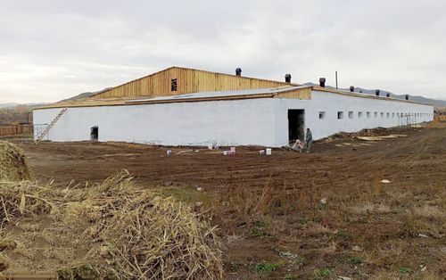 Жители Пий-Хемского района восстанавливают молочно-товарную ферму