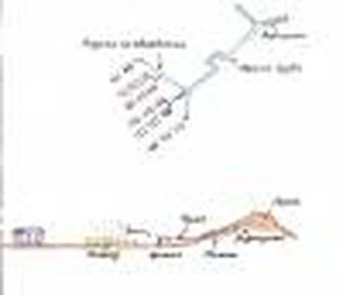 Ловушка для подземных рек