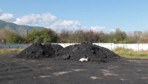 Таңды кожуунда кышка белеткел август ортан үезинде эгелээн