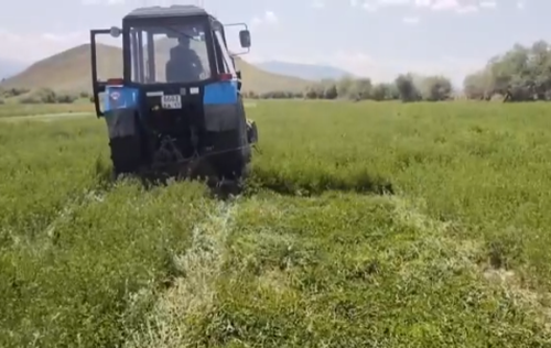 Улуг-Хемский район начал кормозаготовительную кампанию