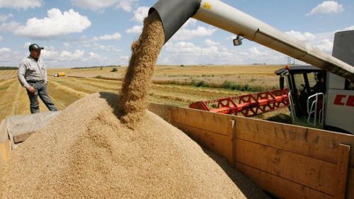 «Единая Россия» запустила проект по импортозамещению «Выбирай своё»