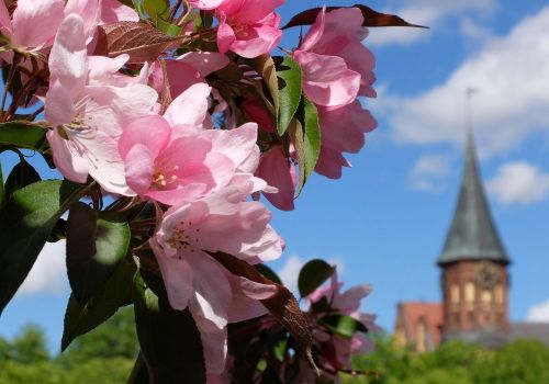 Более половины россиян проведут майские праздники дома