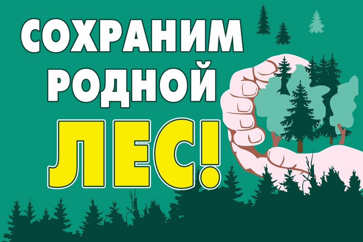 Охрана леса картинки
