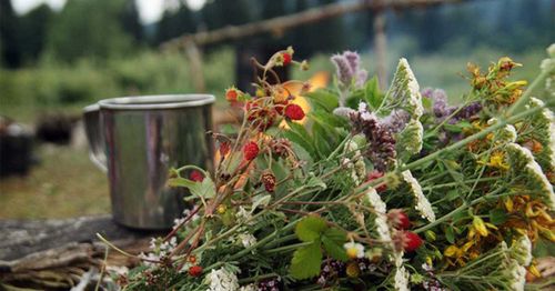 Роспотребнадзор Тувы: в республике отмечен рост энтеровирусной инфекции