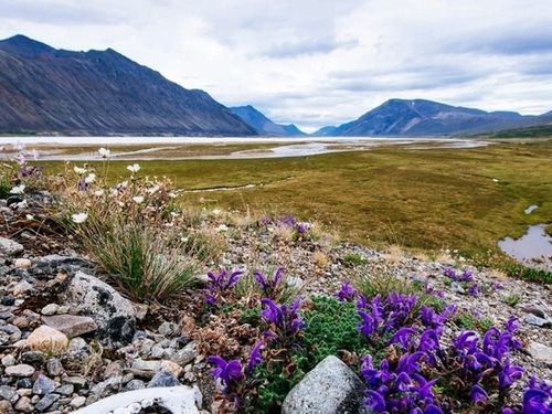 10 мая в Туве ожидается чрезвычайная пожароопасность