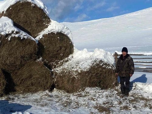 Аржаанда кыштаглаашкын чогумчалыг эртип турар