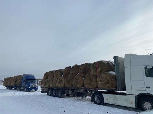 Мал чемин ажыл-агыйларга үлээн.